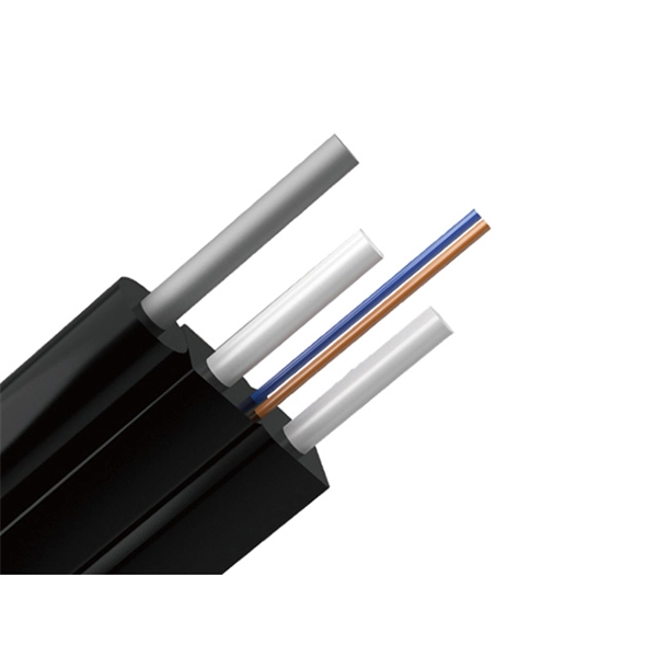 Can an outdoor fiber optic cable be connected to a router 